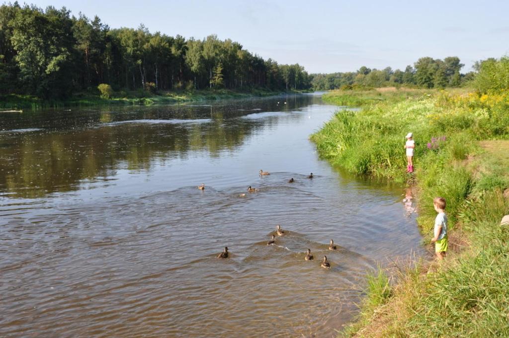 Willa Amber Zakosciele Inowlodz Exteriör bild
